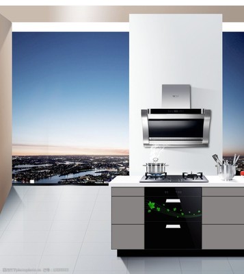 智能厨房，精致生活——引领未来的厨房电器